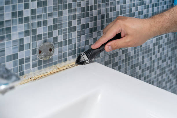 Mold Removal Process in Sonterra, TX
