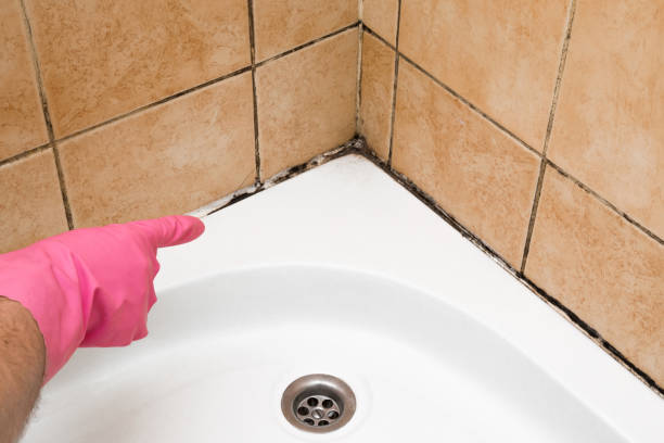 Best Mold Testing  in Sonterra, TX